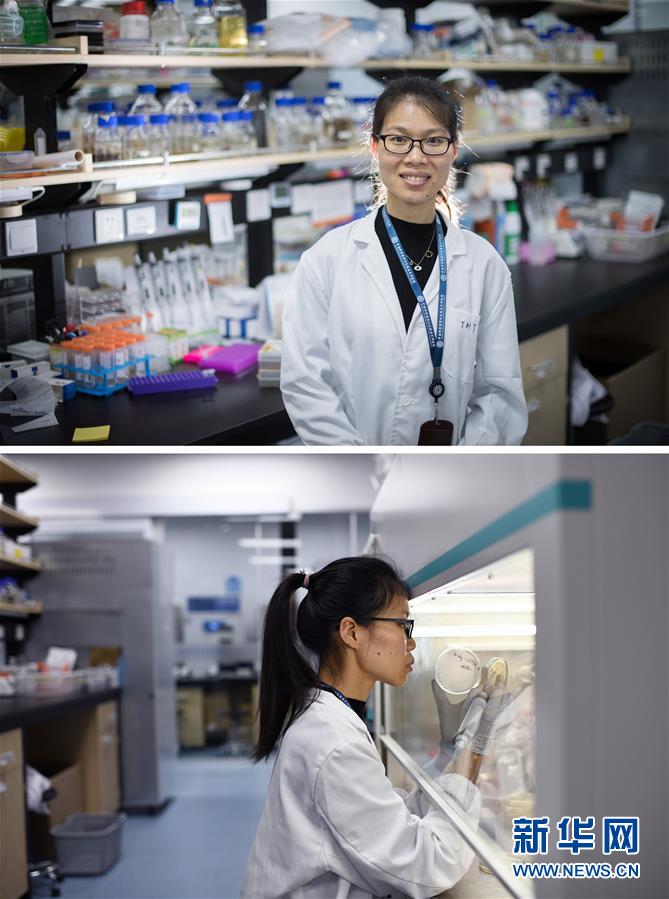 （新華全媒頭條&middot;圖文互動(dòng)）（1）創(chuàng)造中華民族的偉大歷史時(shí)間&mdash;&mdash;寫(xiě)在農(nóng)歷庚子鼠年春節(jié)到來(lái)之際 