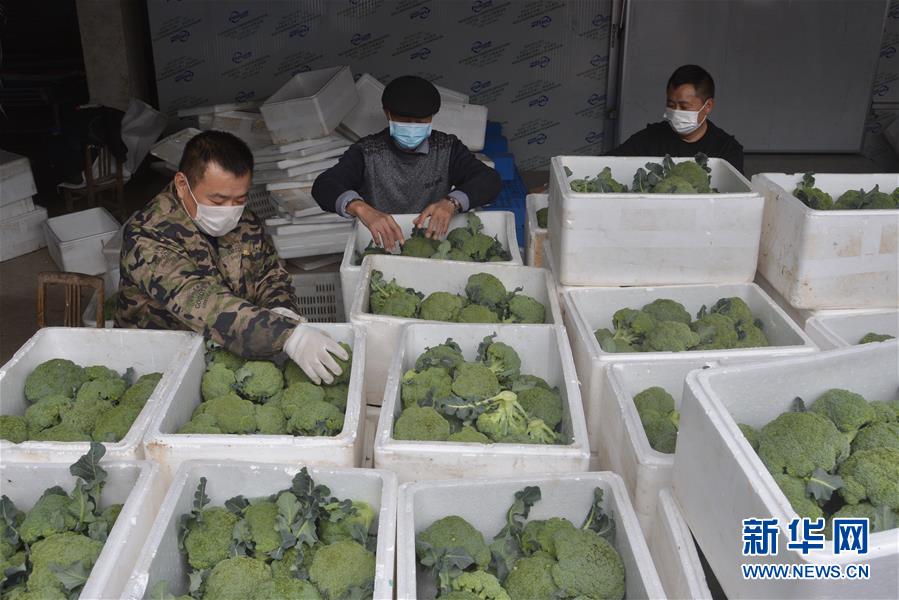 （做好六穩工作 應對復雜局面&middot;圖文互動）（2）穩住&ldquo;菜籃子&rdquo; 守住&ldquo;好日子&rdquo;