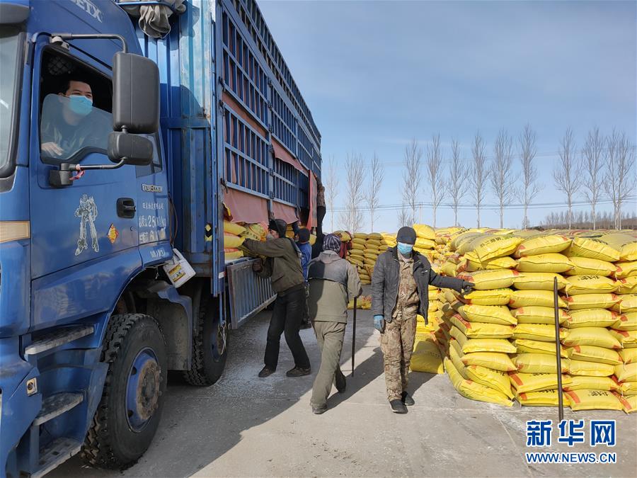 （春耕備耕&middot;圖文互動）（1）&ldquo;疫&rdquo;線賽農時 播種新希望&mdash;&mdash;產糧大省黑龍江別樣&ldquo;備耕圖&rdquo;