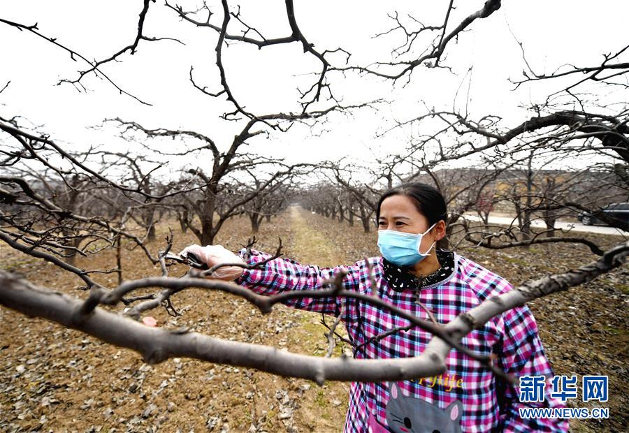 （聚焦疫情防控&middot;圖文互動）（3）農民工返城：幾多憧憬幾許等待&mdash;&mdash;走進疫情下的河北勞務輸出專業村