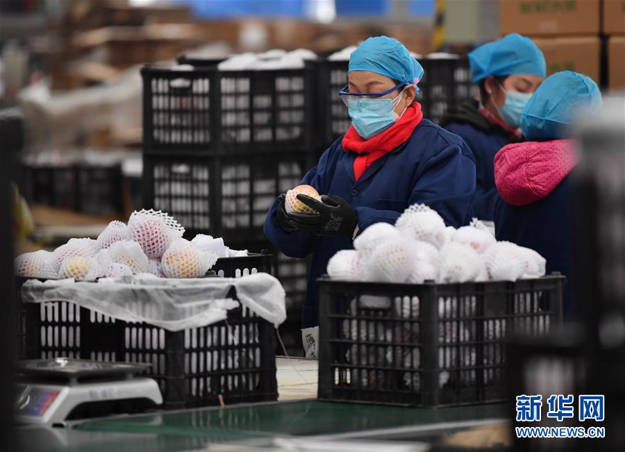 （聚焦疫情防控&middot;圖文互動）（4）&ldquo;一輛輛車出發(fā)，春暖花開的日子就不遠(yuǎn)了&rdquo;&mdash;&mdash;西北電商大縣陜西省武功縣復(fù)工見聞