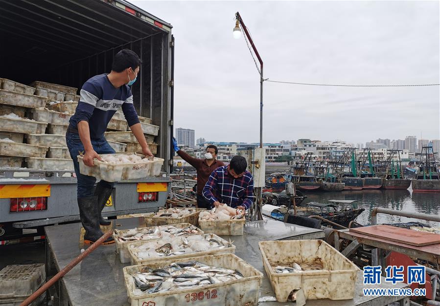 （圖文互動）（5）與疫情抗爭 與春光同行&mdash;&mdash;廣西農村春耕備耕一線觀察