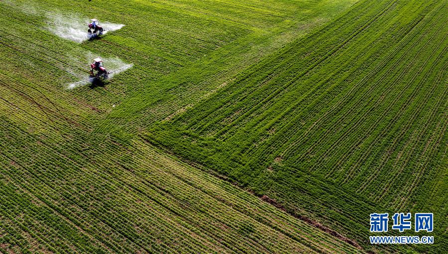 （新華全媒頭條&middot;圖文互動）（13）磨難壓不垮 奮起正當(dāng)時&mdash;&mdash;習(xí)近平總書記在統(tǒng)籌推進(jìn)新冠肺炎疫情防控和經(jīng)濟(jì)社會發(fā)展工作部署會議上的重要講話振奮人心凝聚力量