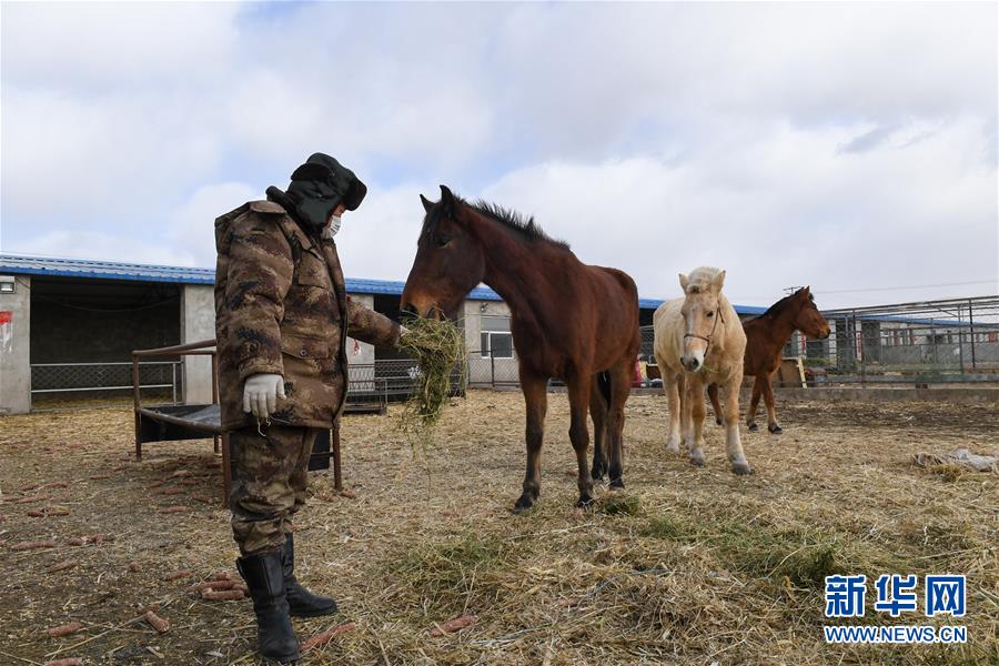 （聚焦疫情防控&middot;圖文互動）（1）行進(jìn)在鄉(xiāng)間的馬背巡邏隊(duì)