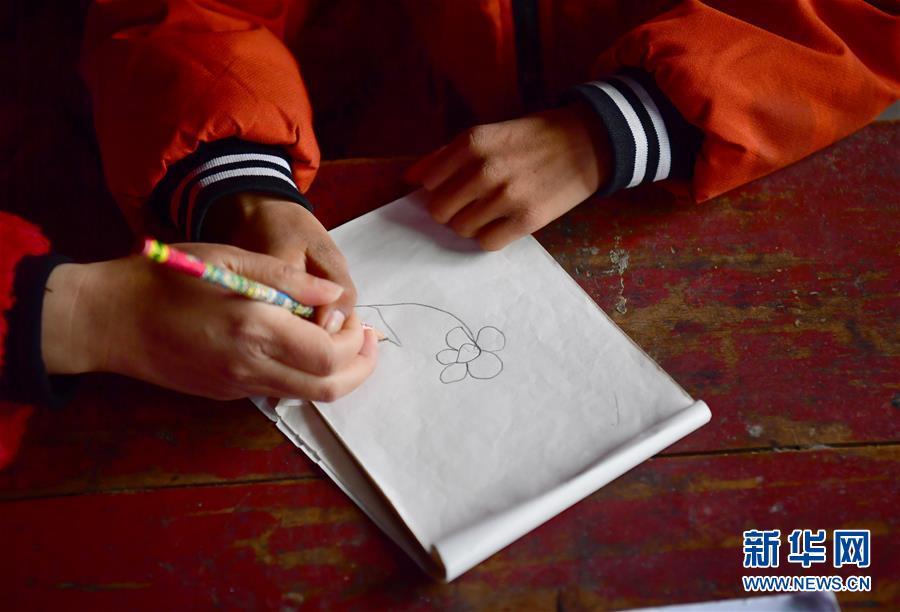 （決戰(zhàn)決勝脫貧攻堅(jiān)&middot;圖文互動）（5）特寫：疫情下的一堂特殊送教上門課