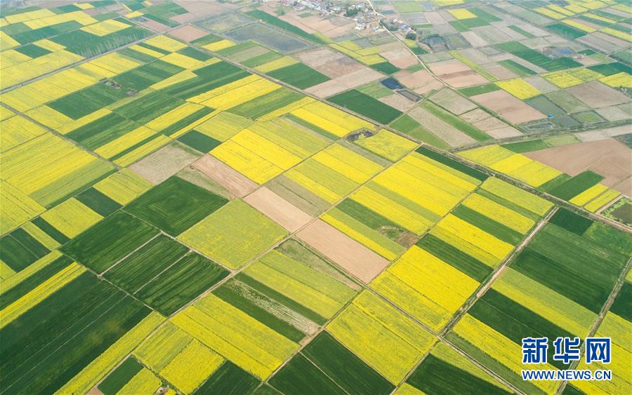 (新華全媒頭條·圖文互動)(6)在艱難中重啟 在陣痛中復蘇——湖北推動安全有序復工復產掃描