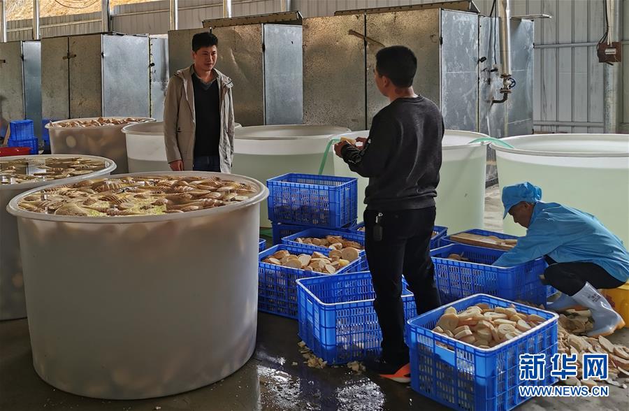 （決戰決勝脫貧攻堅&middot;圖文互動）掛牌督戰，一個都不能少&mdash;&mdash;江西確保剩余9.6萬貧困人口全部脫貧