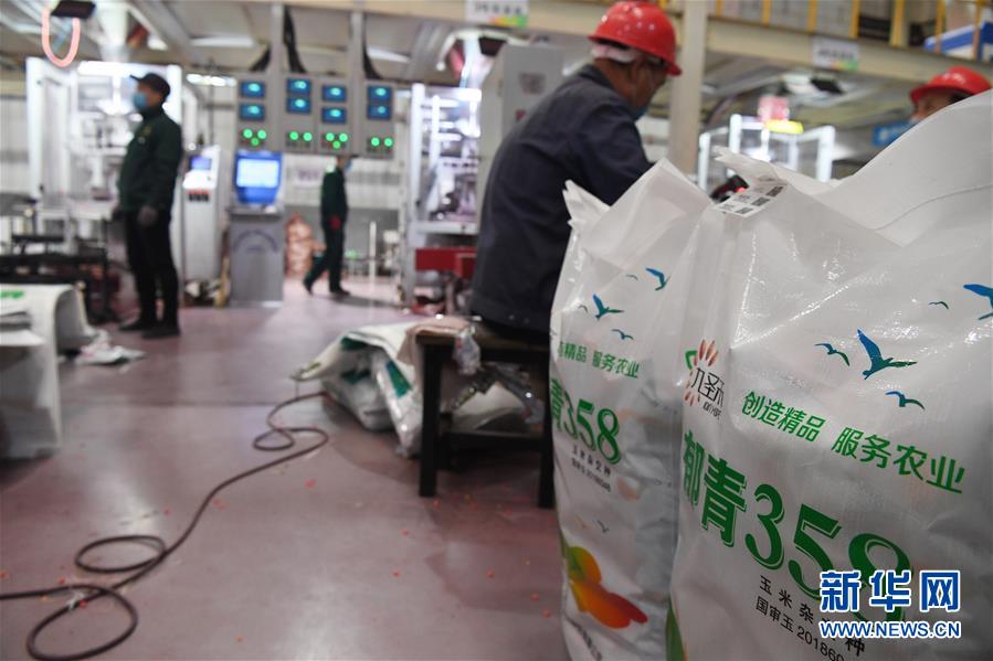 （抓好春耕備耕 穩(wěn)住農(nóng)業(yè)生產(chǎn)&middot;圖文互動）（5）走向泥土是我們的終極夢想&mdash;&mdash;一粒種子的自述