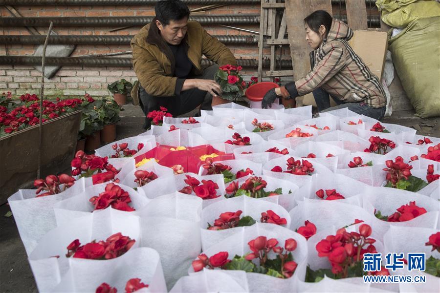 （在習(xí)近平新時(shí)代中國(guó)特色社會(huì)主義思想指引下&mdash;&mdash;新時(shí)代新作為新篇章&middot;習(xí)近平總書記關(guān)切事&middot;圖文互動(dòng)）（1）希望的田野，希望的春天&mdash;&mdash;各地農(nóng)業(yè)生產(chǎn)新動(dòng)態(tài)掃描