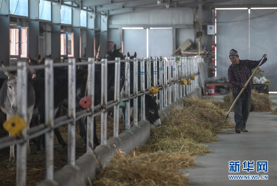 （決戰決勝脫貧攻堅&middot;圖文互動）（12）決戰昆侖&mdash;&mdash;新疆聚焦10個未摘帽縣展開深度貧困攻堅戰 