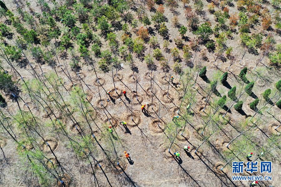 （新華全媒頭條&middot;圖文互動(dòng)）（5）雄安畫卷徐徐鋪展　&ldquo;未來(lái)之城&rdquo;蓄勢(shì)待發(fā)&mdash;&mdash;雄安新區(qū)設(shè)立三周年巡禮