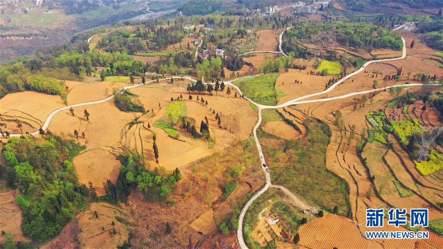 （決戰決勝脫貧攻堅&middot;圖文互動）（2）寄相思，償夙愿&mdash;&mdash;5封清明&ldquo;家書&rdquo;里的決戰決勝信念