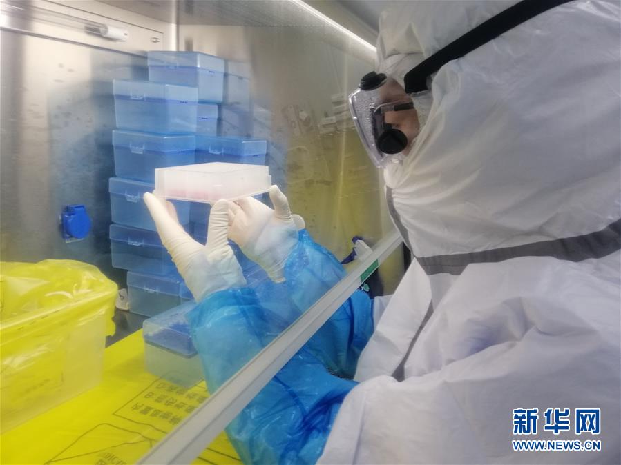 （一線抗疫群英譜&middot;圖文互動(dòng)）（2）&ldquo;95后&rdquo;大學(xué)生郝鶯歌：退掉車票，她選擇直面病毒