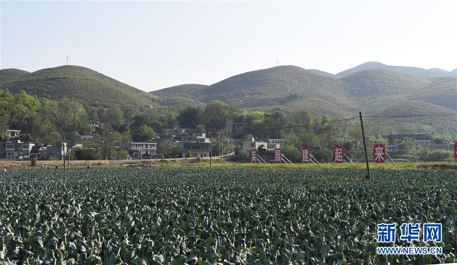 （決戰決勝脫貧攻堅&middot;圖文互動）（2）逐項逐戶排查補齊脫貧攻堅&ldquo;短板&rdquo;&mdash;&mdash;貴州晴隆縣扶貧一線工作見聞 