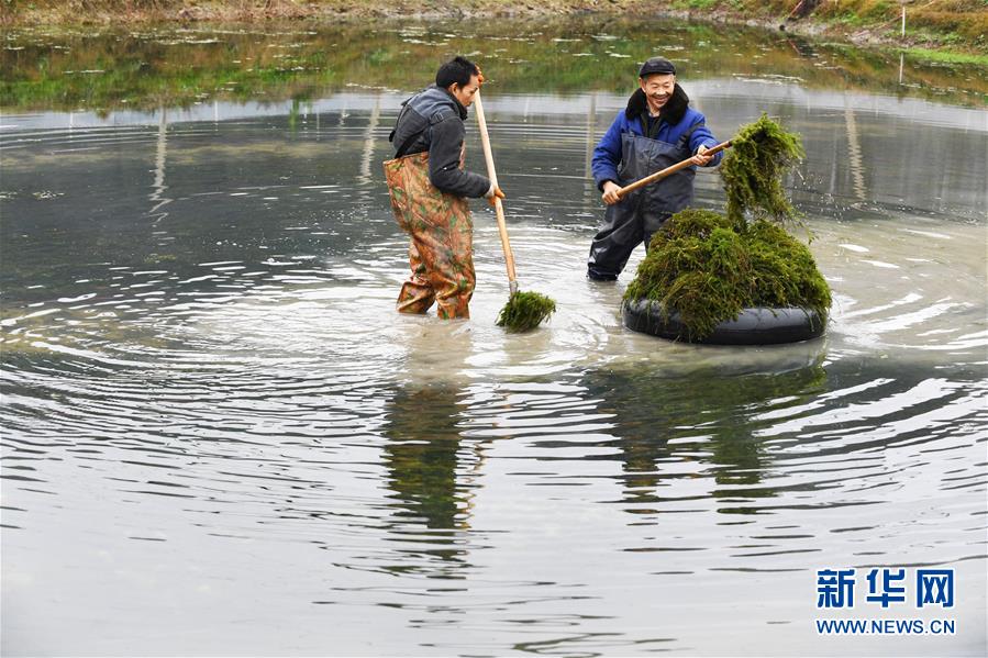 (決戰決勝脫貧攻堅·圖文互動)(2)多重保障 不漏一人——貴州一個脫貧“摘帽”縣的防貧機制探索
