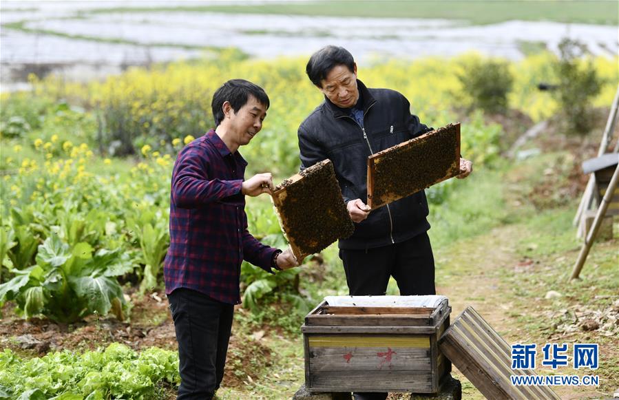 （決戰決勝脫貧攻堅&middot;圖文互動）（2）一位農民的產業扶貧成績單 