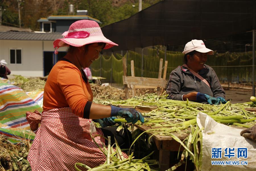 （在習(xí)近平新時代中國特色社會主義思想指引下&mdash;&mdash;新時代新作為新篇章&middot;習(xí)近平總書記關(guān)切事&middot;圖文互動）（4）啃下最后的硬骨頭&mdash;&mdash;脫貧攻堅(jiān)掛牌督戰(zhàn)進(jìn)行時
