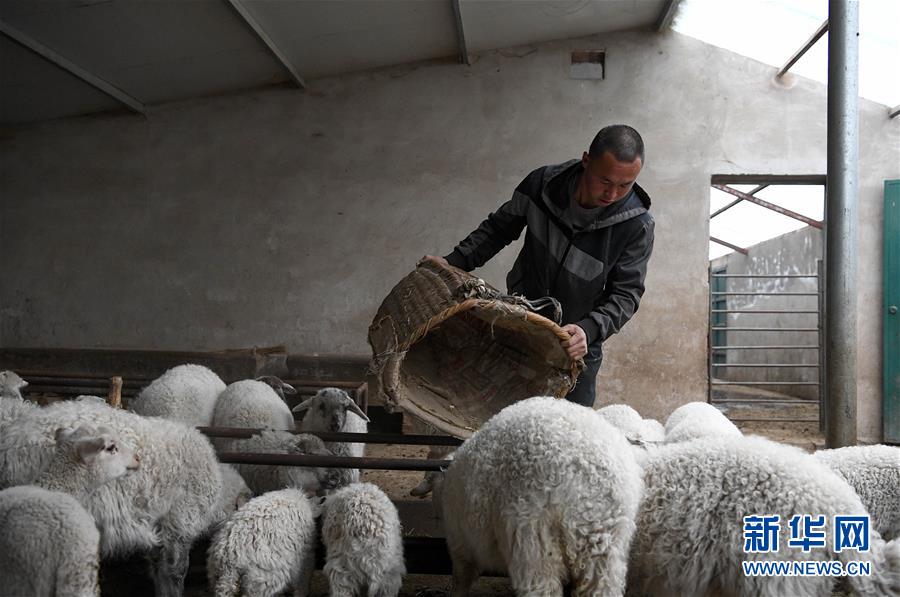 （新華全媒頭條&middot;圖文互動）（1）春天里的5個&ldquo;戰貧&rdquo;瞬間&mdash;&mdash;習近平總書記關于脫貧攻堅決策部署指引攻克最后的深貧堡壘