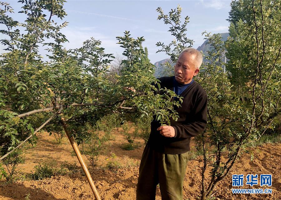 （新華全媒頭條&middot;圖文互動）（5）春天里的5個&ldquo;戰貧&rdquo;瞬間&mdash;&mdash;習近平總書記關于脫貧攻堅決策部署指引攻克最后的深貧堡壘