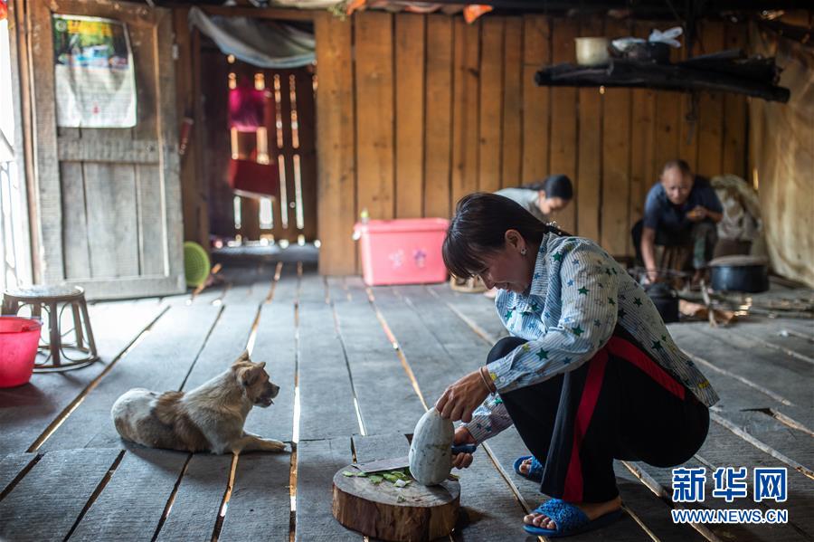 （決戰(zhàn)決勝脫貧攻堅&middot;圖文互動）（8）&ldquo;孩子再也不用學(xué)打獵了&rdquo;&mdash;&mdash;拉祜族女獵手告別狩獵