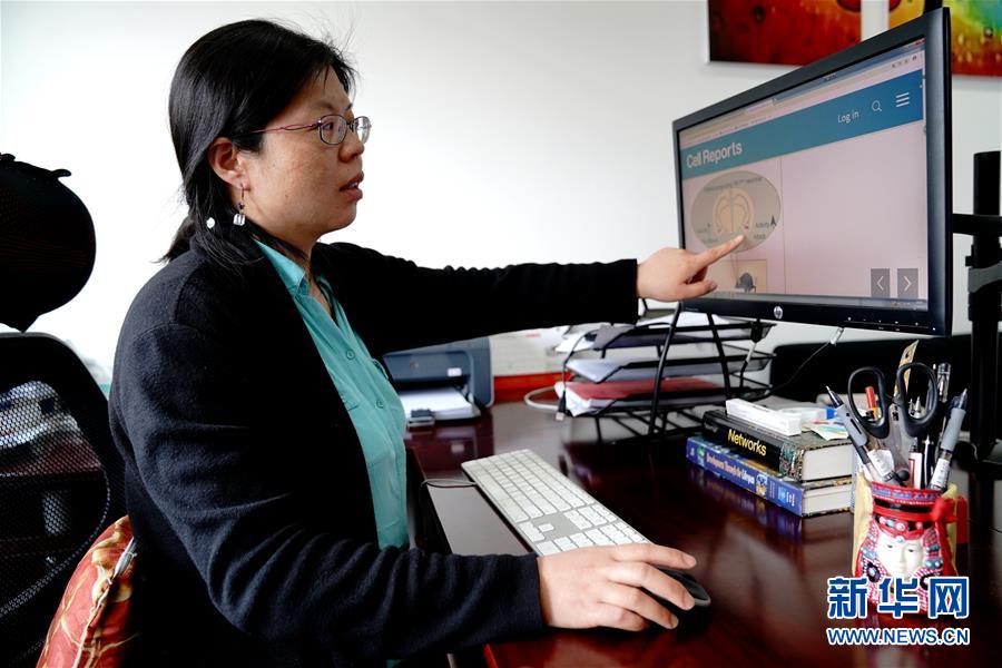 （圖文互動）（1）攻擊行為如何被大腦控制？科學家在小鼠大腦中發現&ldquo;調節開關&rdquo;