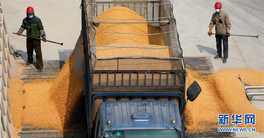 （在習近平新時代中國特色社會主義思想指引下&mdash;&mdash;新時代新作為新篇章&middot;習近平總書記關切事&middot;圖文互動）（7）春耕忙 信心足&mdash;&mdash;谷雨時節走馬東北直擊糧事