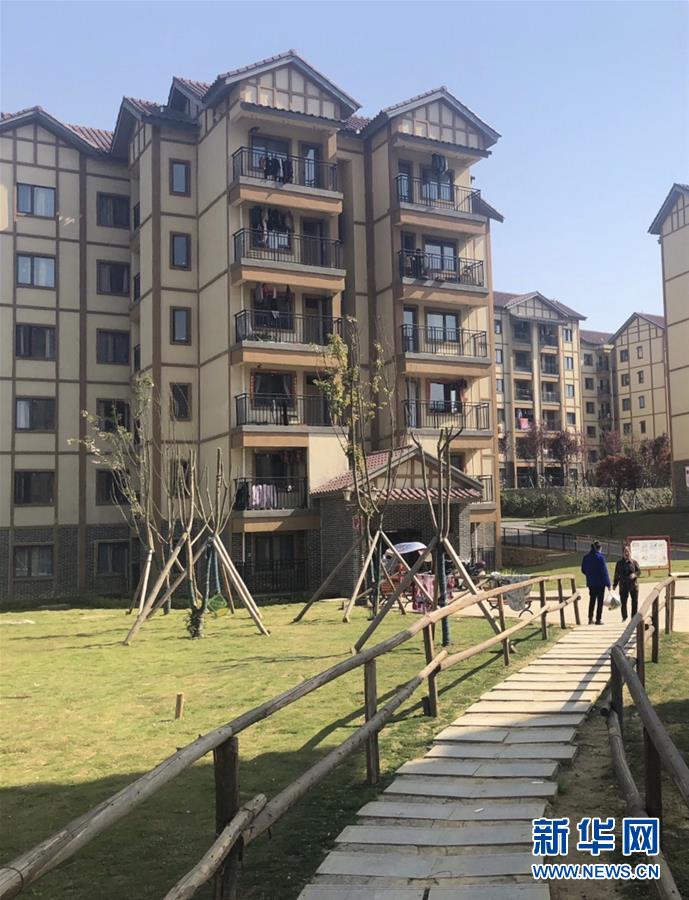 （圖文互動(dòng)）（2）柏楊林的&ldquo;樣板間&rdquo;