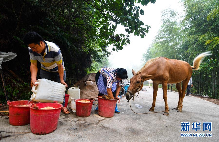 （決戰(zhàn)決勝脫貧攻堅&middot;圖文互動）（4）老余賣騾子