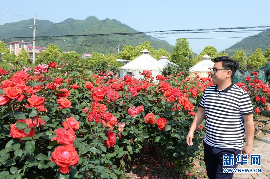 （決戰決勝脫貧攻堅&middot;圖文互動）（6）理發師&ldquo;修剪&rdquo;鄉村游一團亂麻