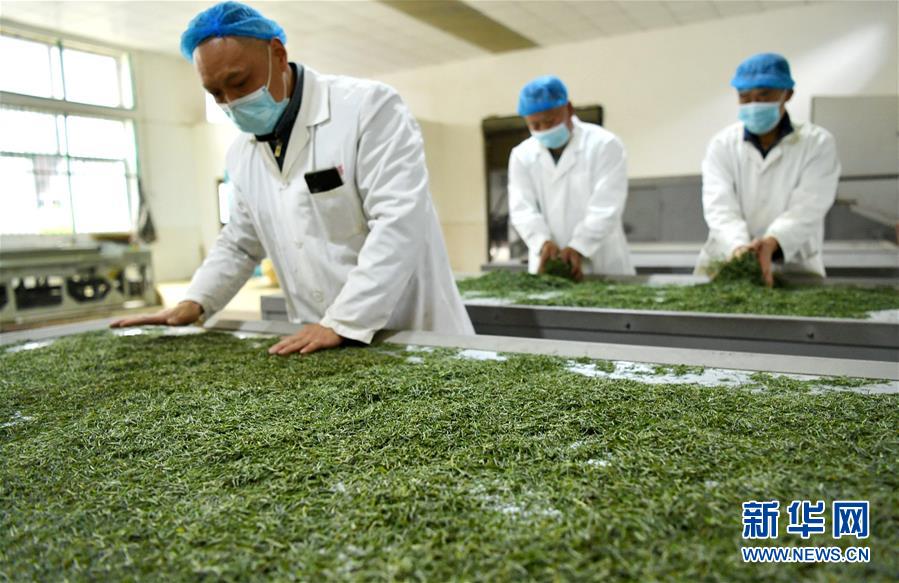 （新華全媒頭條&middot;圖文互動）（22）從人民中汲取磅礴力量&mdash;&mdash;習(xí)近平總書記同出席2020年全國兩會人大代表、政協(xié)委員共商國是紀(jì)實