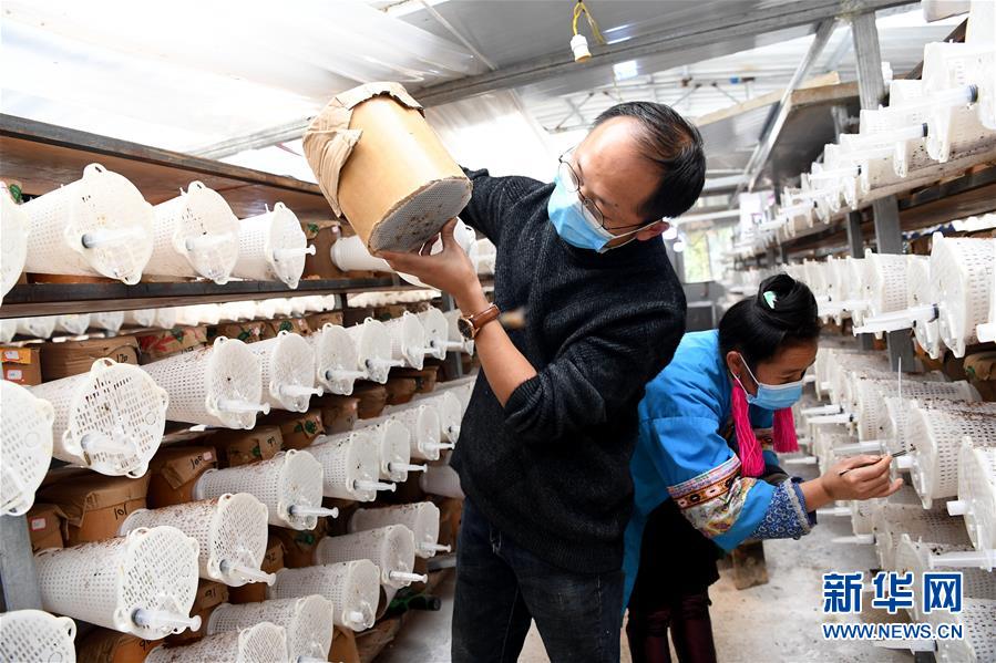 （決戰決勝脫貧攻堅&middot;圖文互動）（2）&ldquo;小蜂王&rdquo;的大夢想