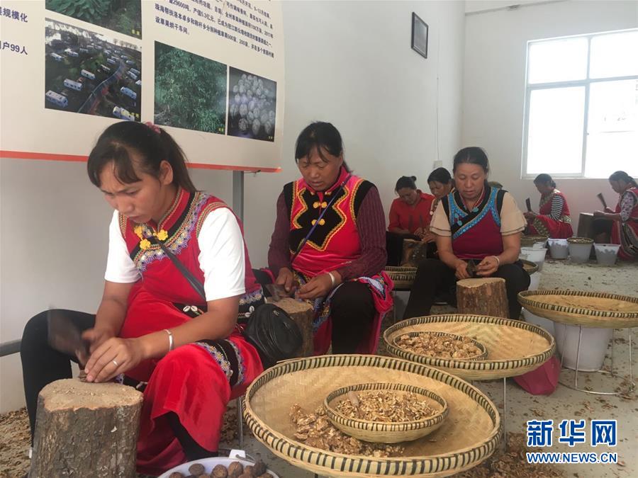 （新華全媒頭條&middot;聚焦&ldquo;三區三州&rdquo;脫貧攻堅&middot;圖文互動）（2）向深度貧困&ldquo;堡壘&rdquo;發起最后總攻&mdash;&mdash;寫在&ldquo;三區三州&rdquo;脫貧攻堅關鍵時點