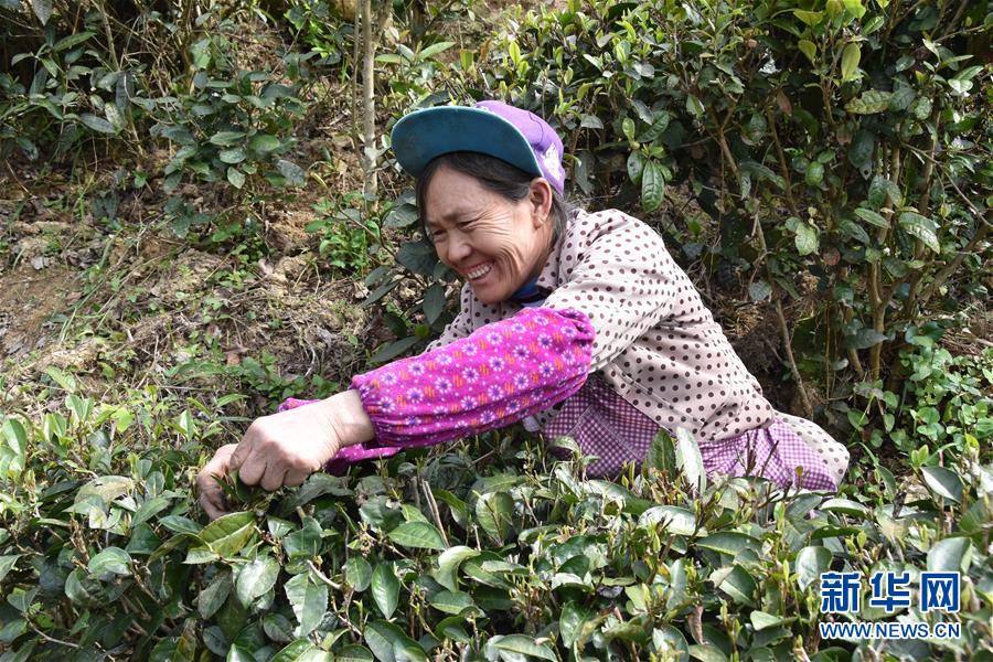 （決戰(zhàn)決勝脫貧攻堅(jiān)&middot;圖文互動(dòng)）（1）因地制宜的&ldquo;魅力&rdquo;&mdash;&mdash;貴州脫貧攻堅(jiān)一線(xiàn)采訪隨筆