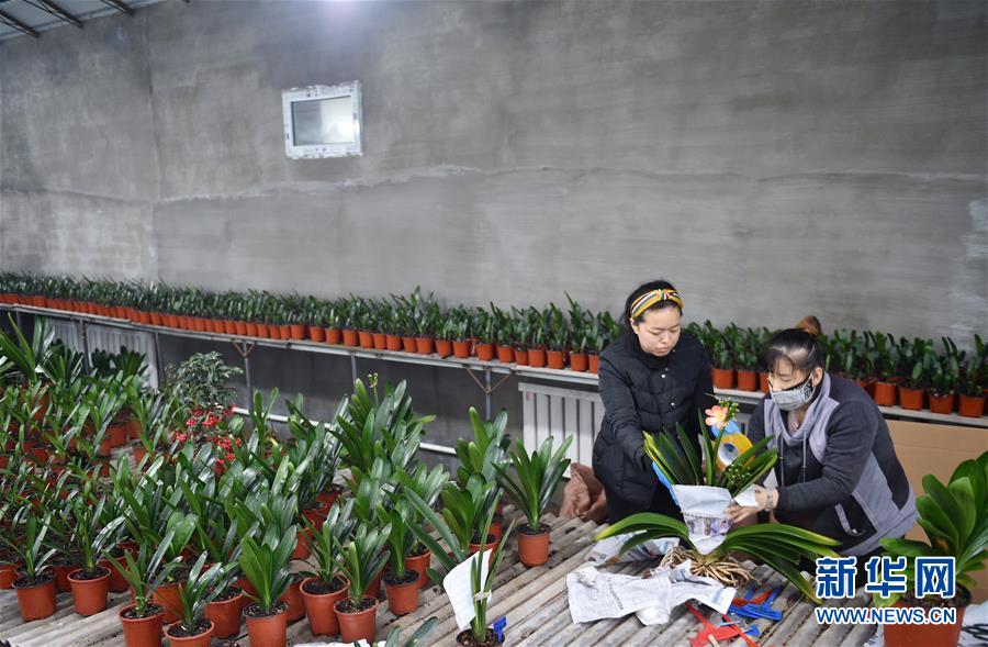 （決戰決勝脫貧攻堅&middot;圖文互動）（11）長白山下唱新篇&mdash;&mdash;吉林延邊州脫貧攻堅觀察