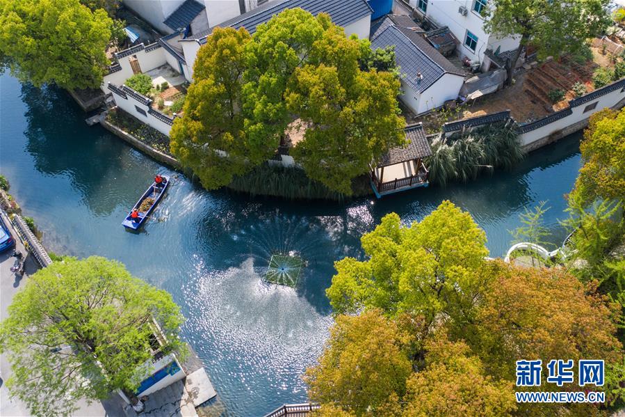 （新華全媒頭條&middot;圖文互動）（6）從&ldquo;藍圖規劃&rdquo;到美麗&ldquo;現實畫卷&rdquo;&mdash;&mdash;長三角一體化高質量發展一年間