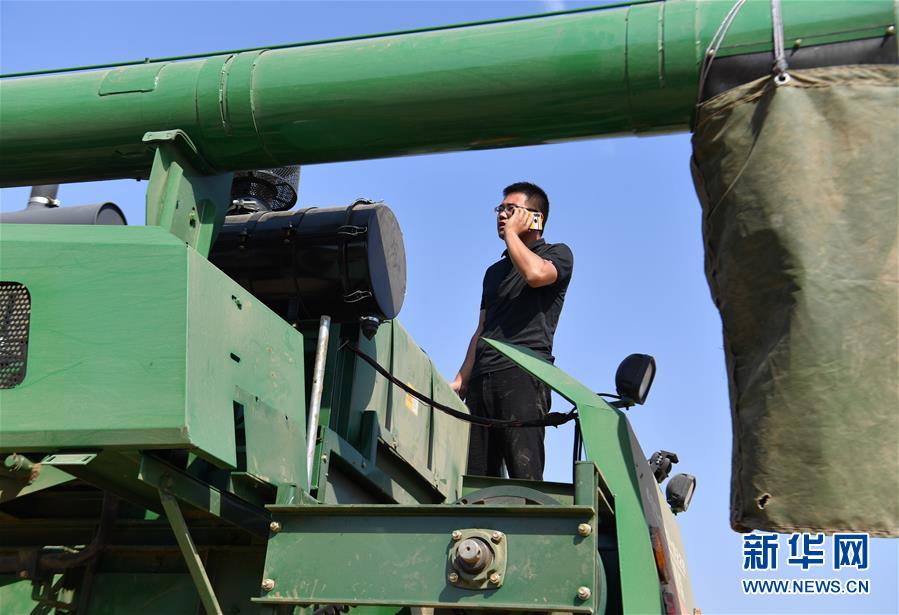 （關注三夏&middot;圖文互動）（4）麥田&ldquo;后浪&rdquo;的農事新說