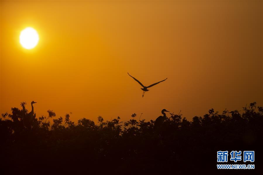 （新華全媒頭條&middot;圖文互動）（1）大湖新歌&mdash;&mdash;我國兩大淡水湖全面生態(tài)修復進行時