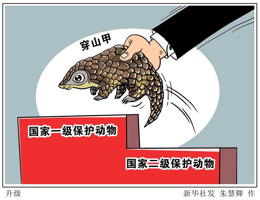 （圖表&middot;漫畫）［環境］升級