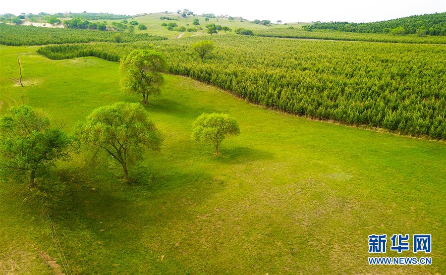 （新華全媒頭條&middot;圖文互動）（1）京津最近&ldquo;大沙盆&rdquo;逆轉記