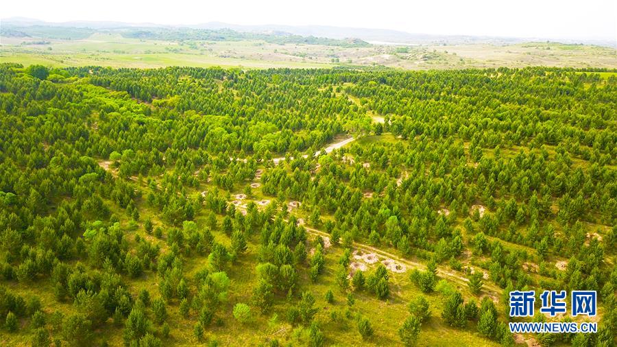 （新華全媒頭條&middot;圖文互動）（8）京津最近&ldquo;大沙盆&rdquo;逆轉記