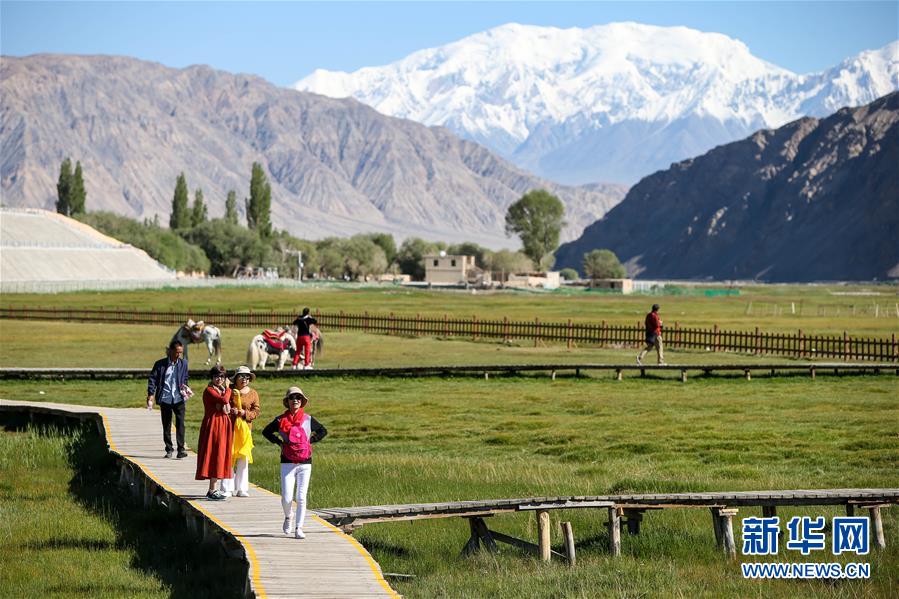 （新華全媒頭條&middot;圖文互動(dòng)）（15）飛吧，&ldquo;帕米爾雄鷹&rdquo;！