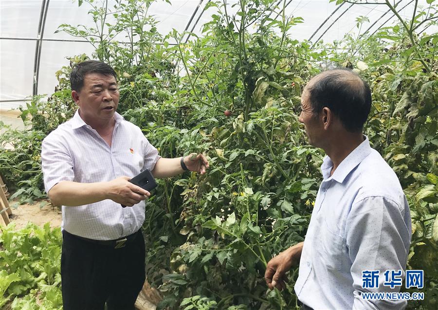 （決戰(zhàn)決勝脫貧攻堅(jiān)&middot;圖文互動）（2）魚漁兼授 志智雙扶&mdash;&mdash;窮溝溝&ldquo;菜富記&rdquo;