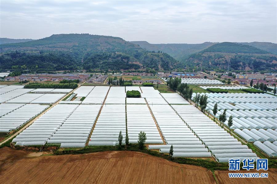 （決戰(zhàn)決勝脫貧攻堅(jiān)&middot;圖文互動）（3）魚漁兼授 志智雙扶&mdash;&mdash;窮溝溝&ldquo;菜富記&rdquo;