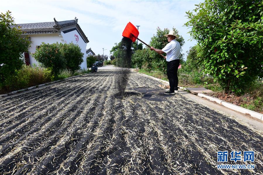 （決戰決勝脫貧攻堅&middot;圖文互動）（1）貧困戶老楊的人生&ldquo;三級跳&rdquo;