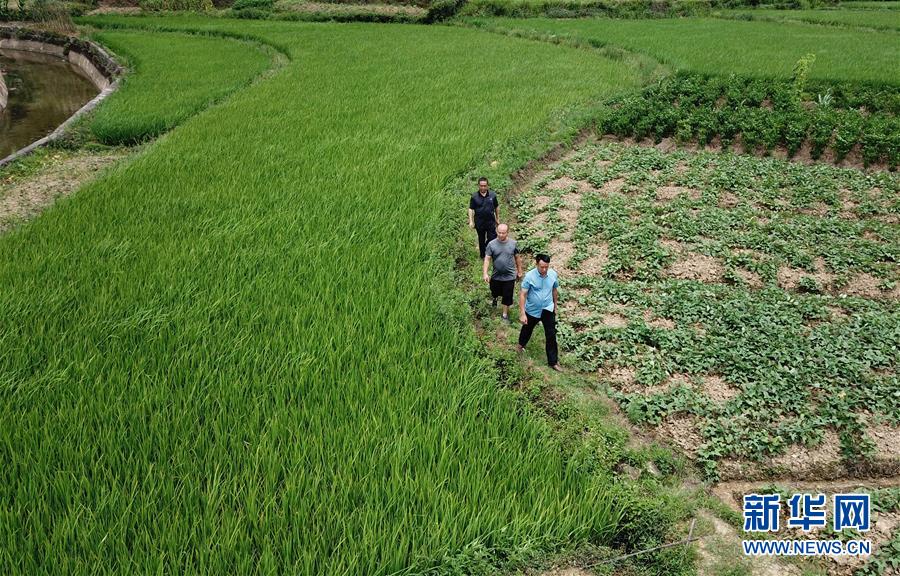 （圖文互動）（6）湘南深山，堅守扶貧一線的黨員之家