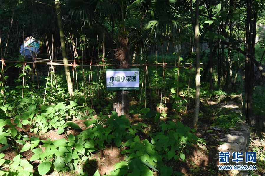 （鄉村振興&middot;圖文互動）（5）海壩成&ldquo;畫&rdquo;