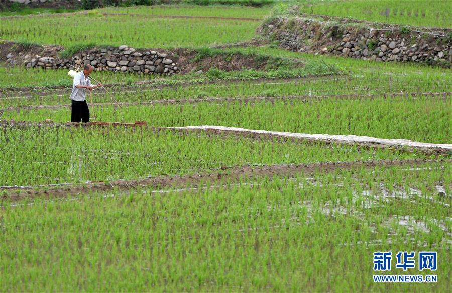 （新華全媒頭條&middot;走向我們的小康生活&middot;圖文互動）（11）大山深處有&ldquo;新家&rdquo;&mdash;&mdash;大別山村繪出現代版&ldquo;富春山居圖&rdquo;