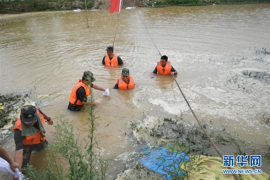 （防汛抗洪&middot;圖文互動）（1）&ldquo;大堤上有了&lsquo;導彈綠&rsquo;，我們老百姓安了心&rdquo;