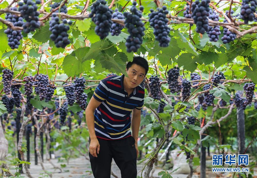 （新華全媒頭條&middot;走向我們的小康生活&middot;圖文互動）（9）奮斗繪就&ldquo;新天府&rdquo;&mdash;&mdash;川蜀大地干群&ldquo;戰貧&rdquo;軌跡掃描