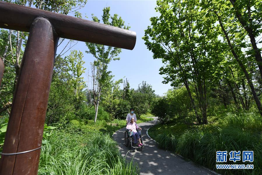 （新華全媒頭條&middot;圖文互動）（4）老胡同里的新生活&mdash;&mdash;北京老城探訪記